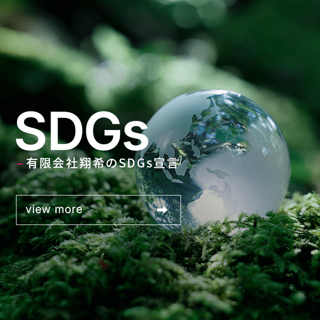 sp_bnr_sdgs